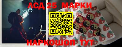 индика Новозыбков