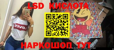 амф Новодвинск