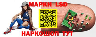 амф Новодвинск
