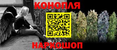 амф Новодвинск