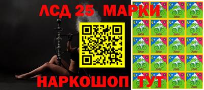 амф Новодвинск