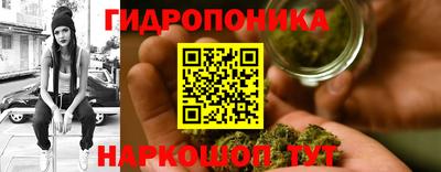 индика Новозыбков