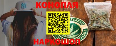 амф Новодвинск