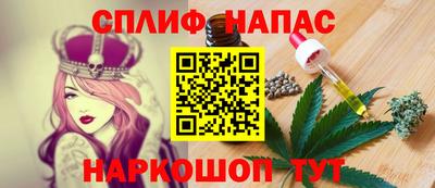 индика Новозыбков