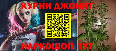 амф Новодвинск