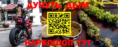 индика Новозыбков