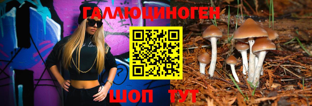 Саров  Галлюциногенные грибы прущие грибы  магазин продажи   Вход с VPN 