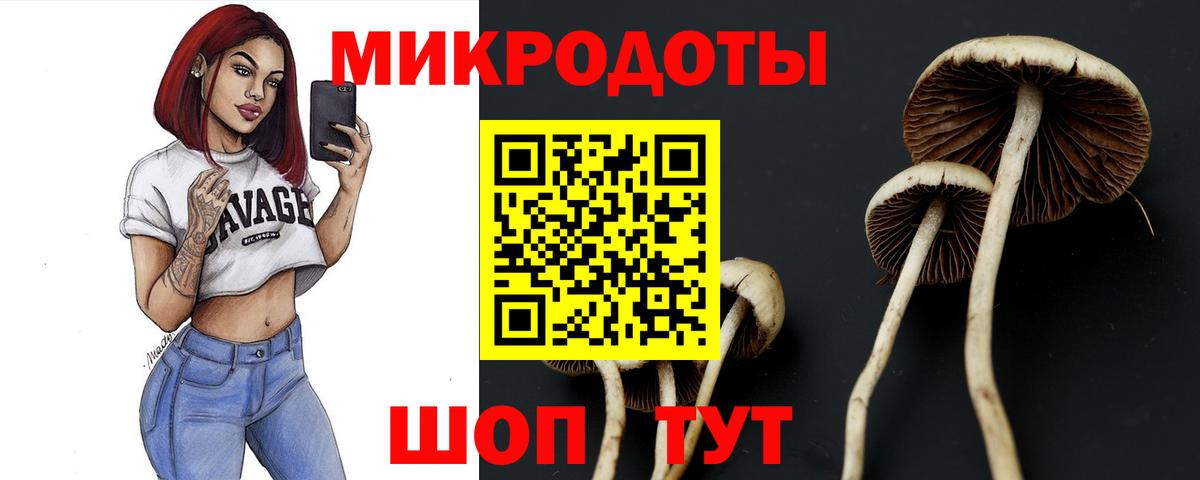 Галлюциногенные грибы мухоморы Саров