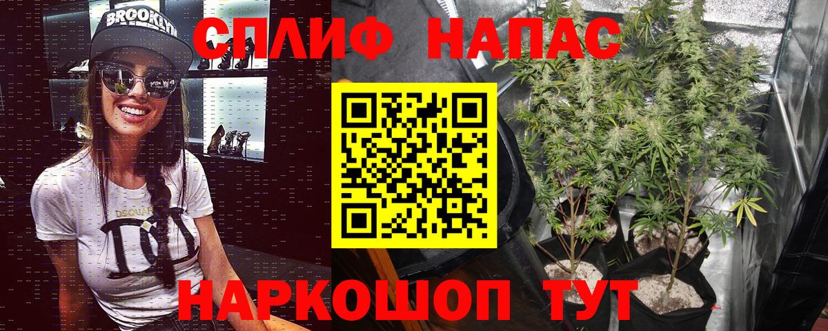 Каннабис конопля Саров